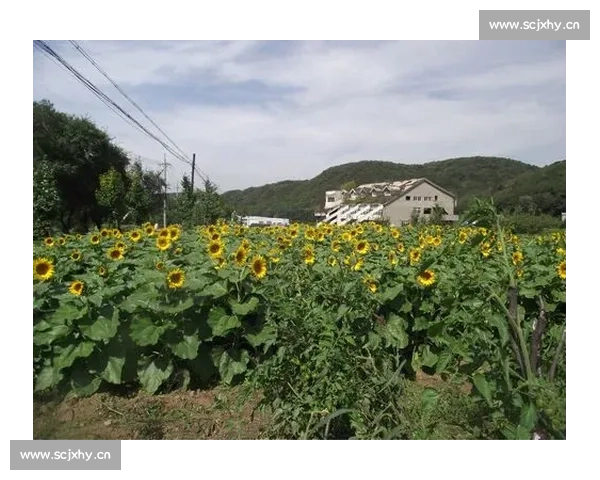 《精彩演讲展风采激发智慧勇攀高峰学校演讲比赛主持词》